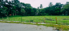 বিনিয়োগের জন্য দারুণ সুযোগ,  কম দামে জমি কিনুন।